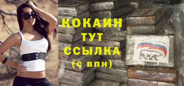 стафф Осташков